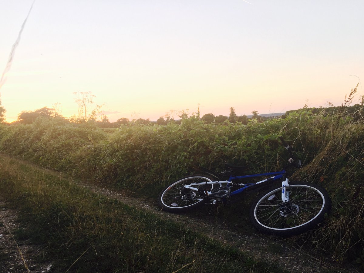 systole_'s tweet image. the oldest photo i have saved on my phone. taken in summer 10 years ago