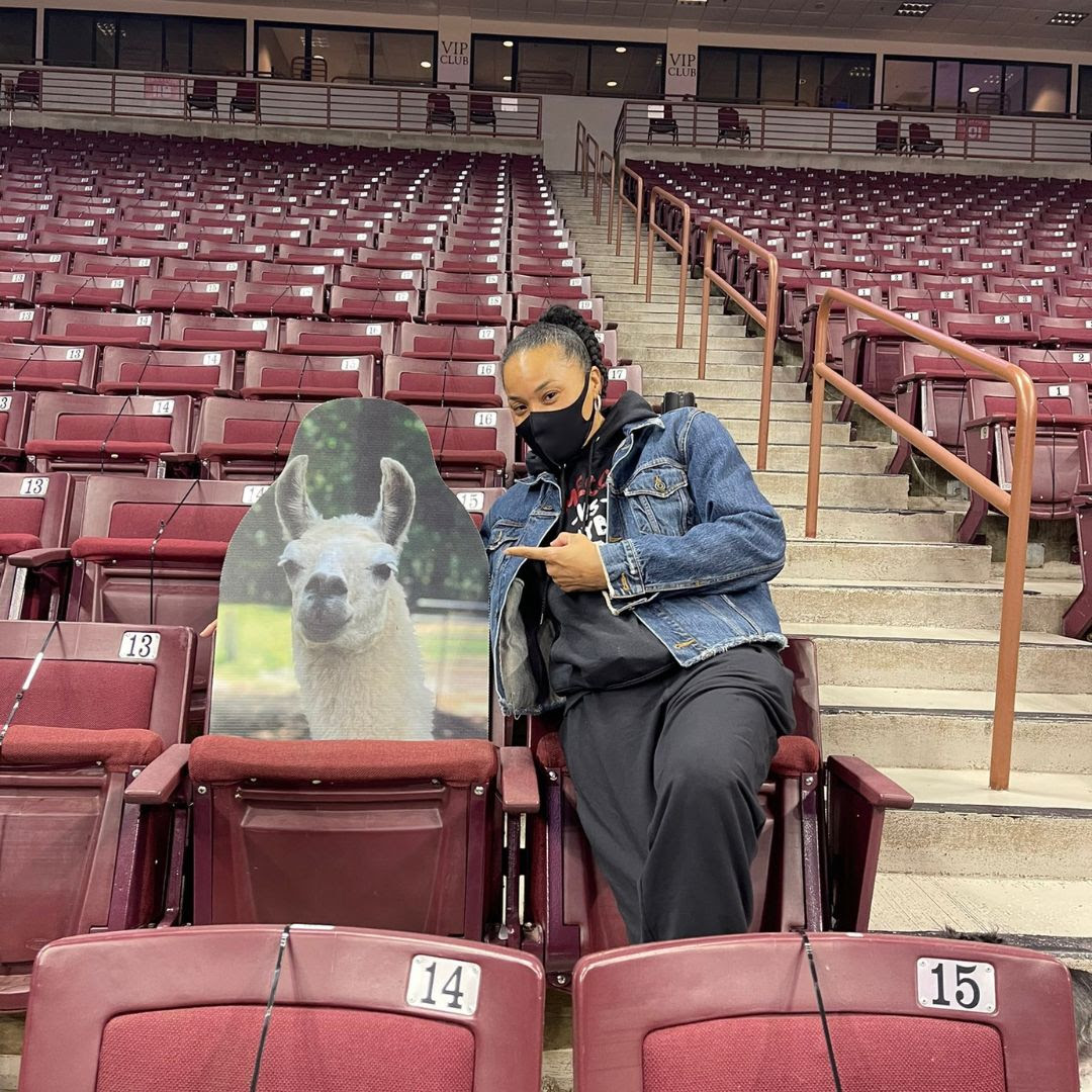 That time Dawn Staley took a photo of your llama in the stands during the peak of no fans in the stands due to Covid.  #cppastures #TBT