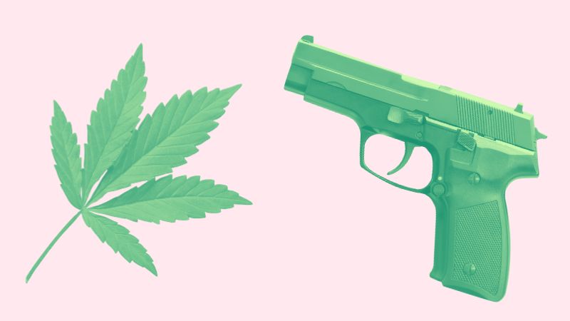 TheNVIndy's tweet image. OPINION by @schausmichael: Should cannabis users be forbidden to own guns? Nevada Attorney General Aaron Ford thinks so. Take a trip into a bizarre legal brief filled with gun control talking points and Nixon-era drug war propaganda.

Read it here: thenevadaindependent.com/article/opinio…