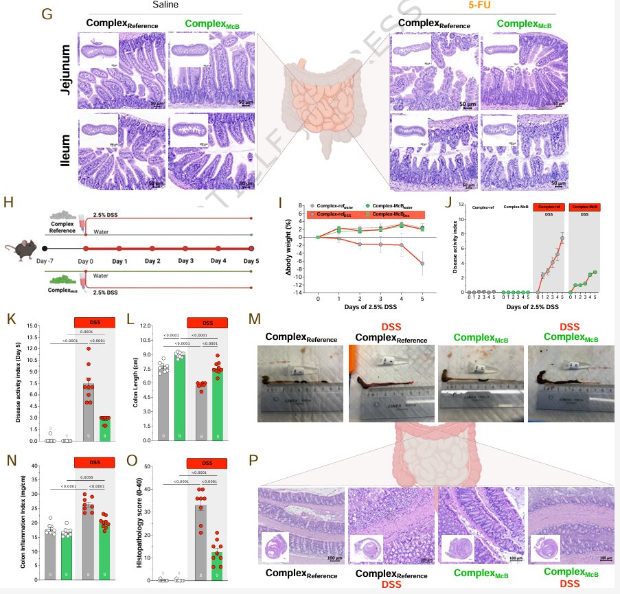 LabWaggoner's tweet photo. Microbial activation of the GLP-2R mitigates gastrointestinal inflammation
https://t.co/690JsnXTYe 
@NatureComms 🇩🇰 https://t.co/AOddZ31mXK