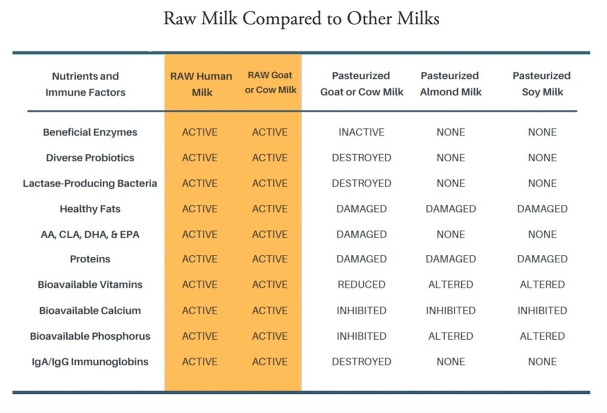 Drink raw milk. 🥛🐄✨️