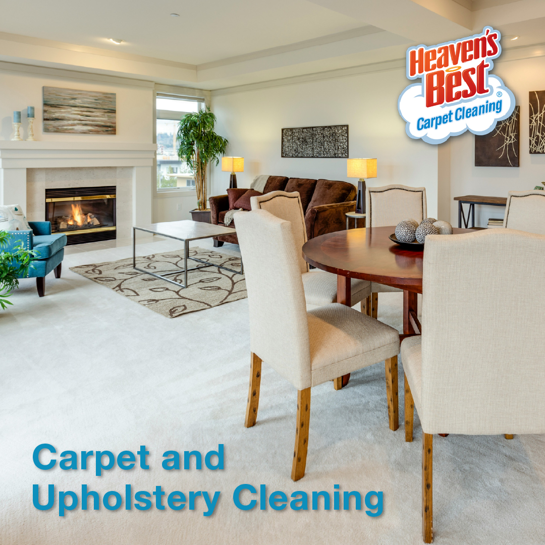Learn the skills behind professional carpet and upholstery cleaning—and discover how those skills can turn into a business of your own. Take the next step and own a franchise: franchising.heavensbest.com 🧼✨
#CarpetCleaning #UpholsteryCleaning #OwnAFranchise #FranchiseOpportunity