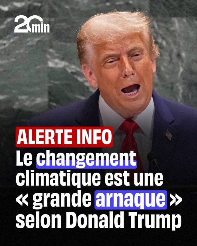 Wolf 🐺 tweet media