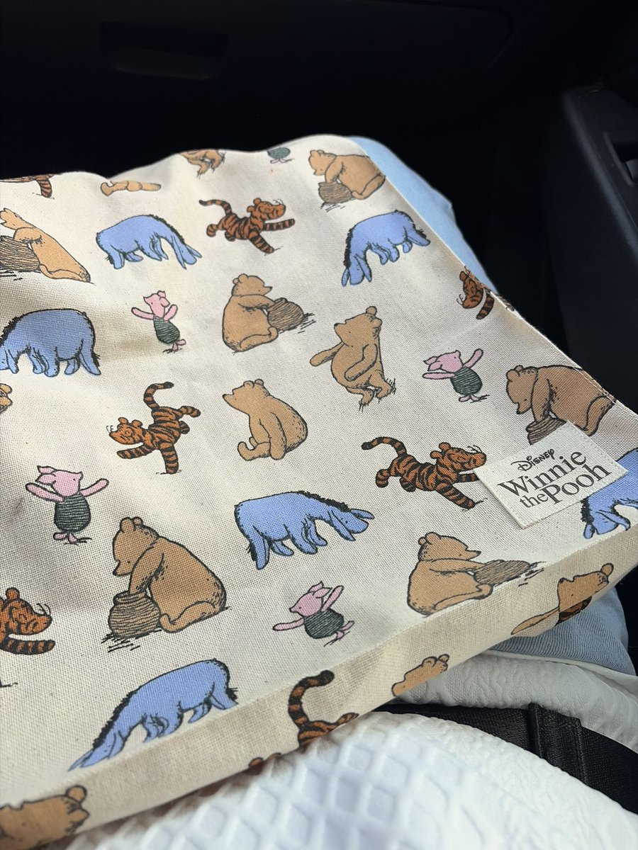 JeggMinecraft's tweet image. I got a Winnie the Pooh bag as an early birthday present!! AHHH- I love it!