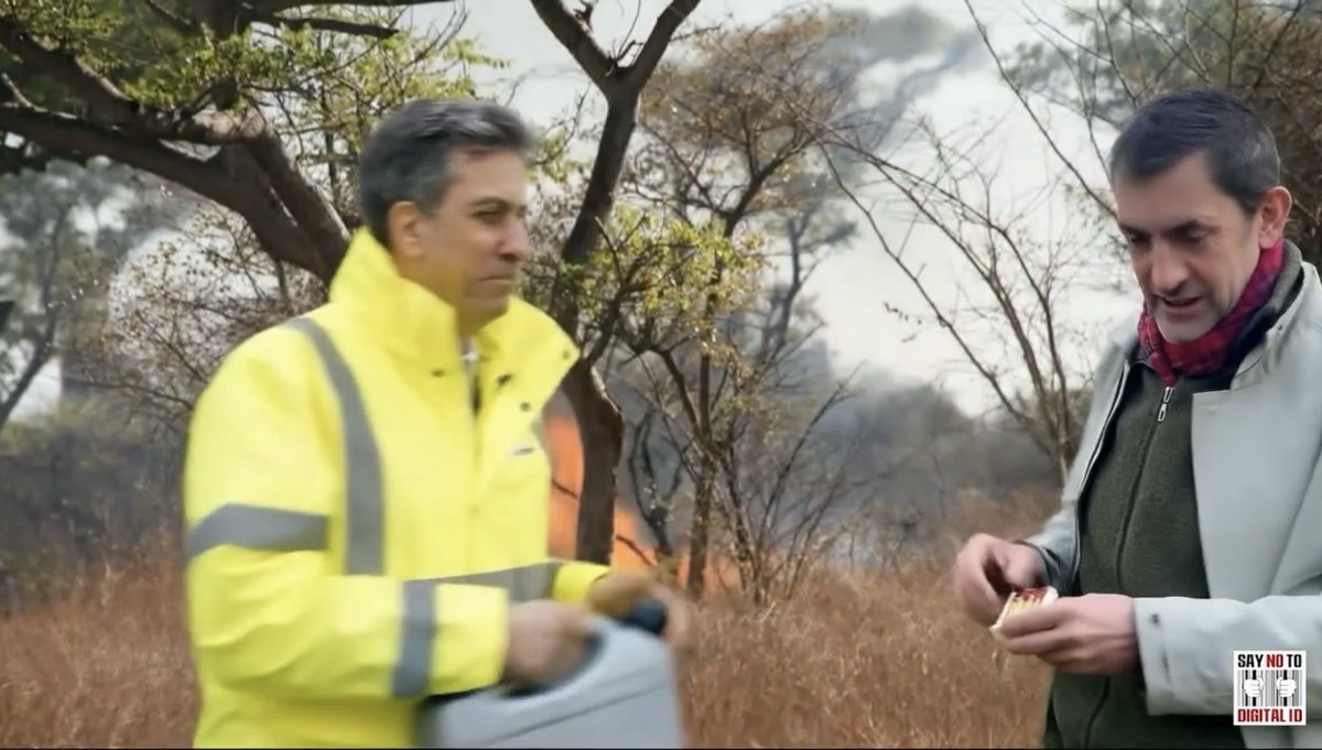 Dr. Zemf tweet media