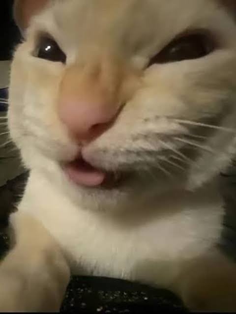 insert_names's tweet image. 