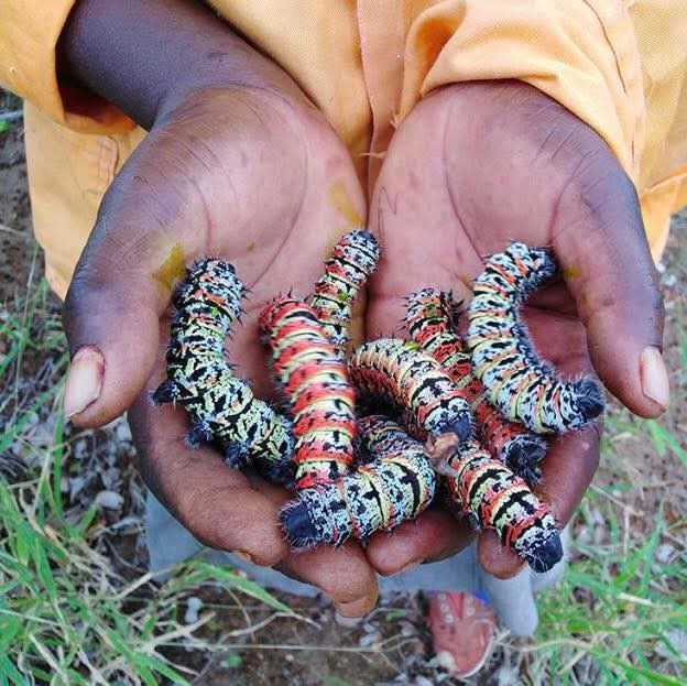 Anna Mugwaku (@designerromann) on Twitter photo 