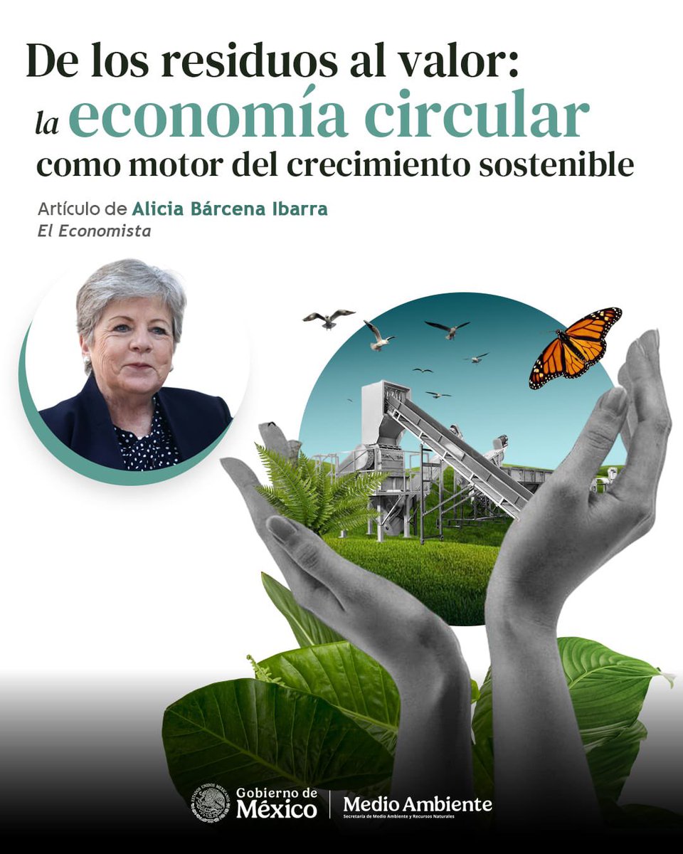 SEMARNAT México tweet media