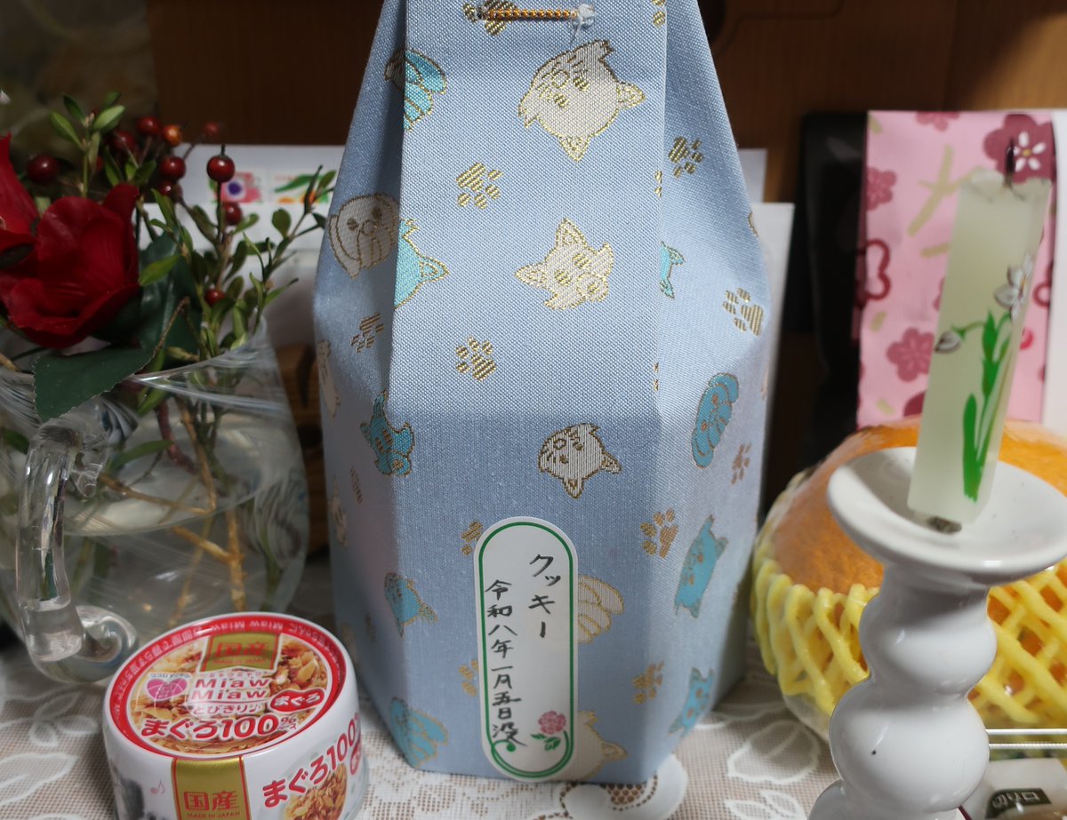 TKenichi5's tweet photo. 闘病中だったキジ君（本名クッキー）ですが
1月5日に永眠しました

気にかけて下さった方々
励まして下さった方々
ありがとうございました

最期は眠るように旅立って行きました

Xですが
諸々落ち着いたらまた再開しようと思うので
また構ってやって下さいね

写真は亡くなる5日前のキジ君です https://t.co/UUNe47qbiB