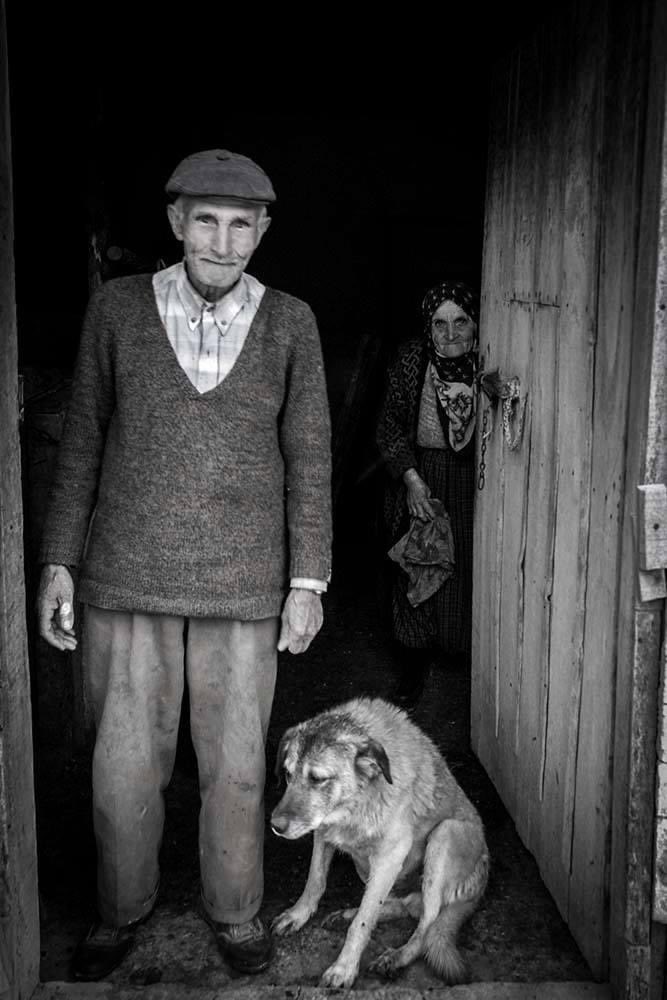 HalukAlp tweet media