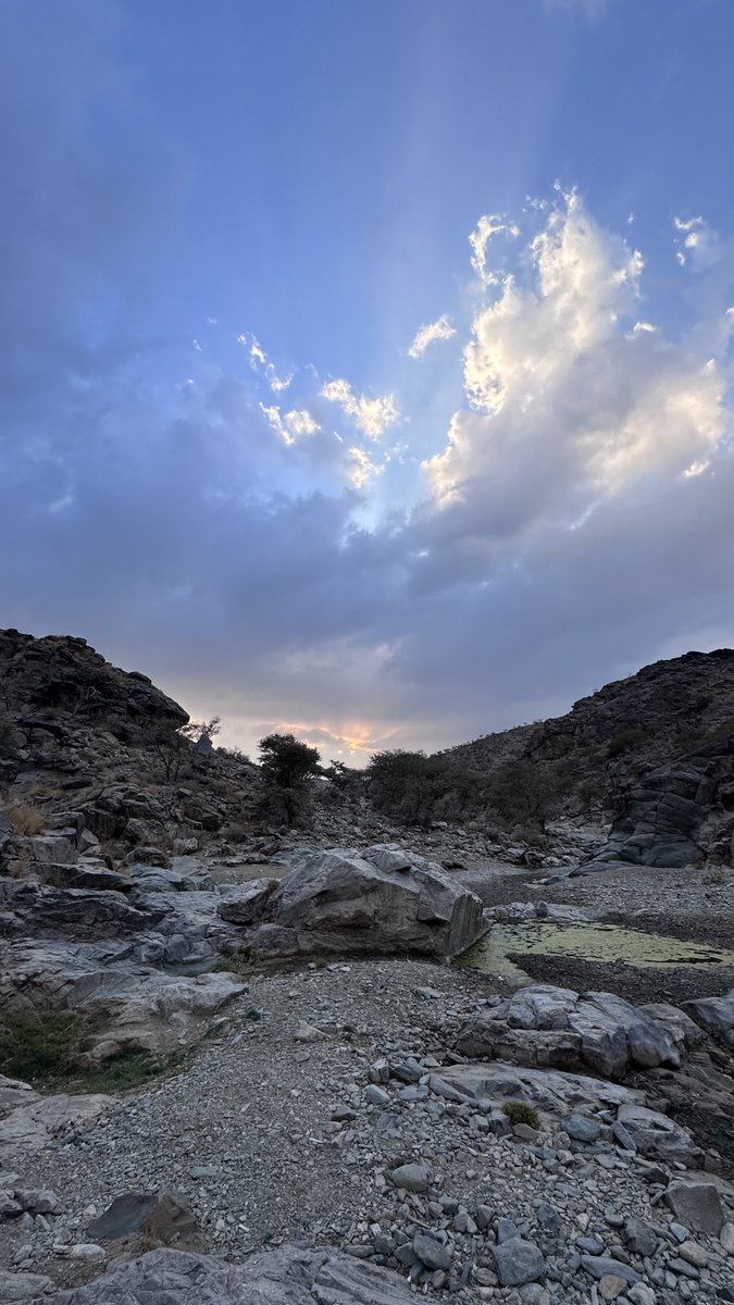 شعف بن خاتم بن شعف tweet media