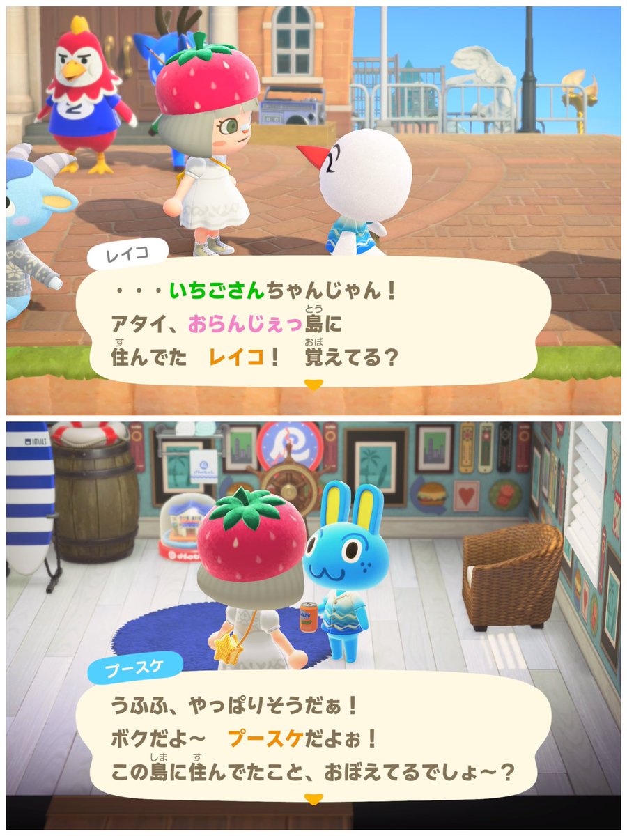 いちごさん◝〻のㅅの〻◜ tweet media