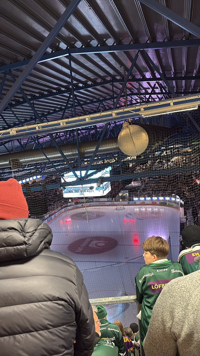 Bergström tweet media