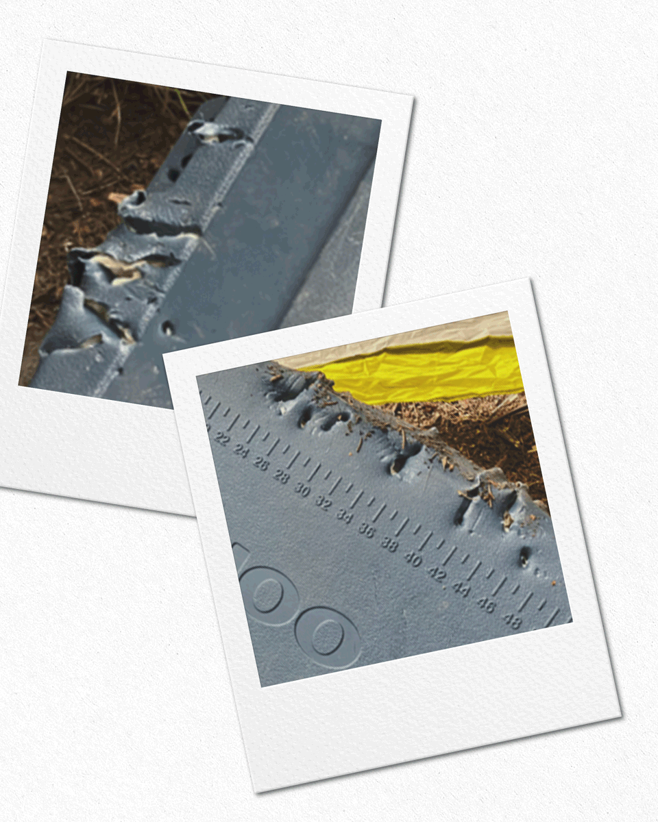 Igloo Coolers tweet media