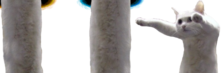 The Internet Fish tweet media