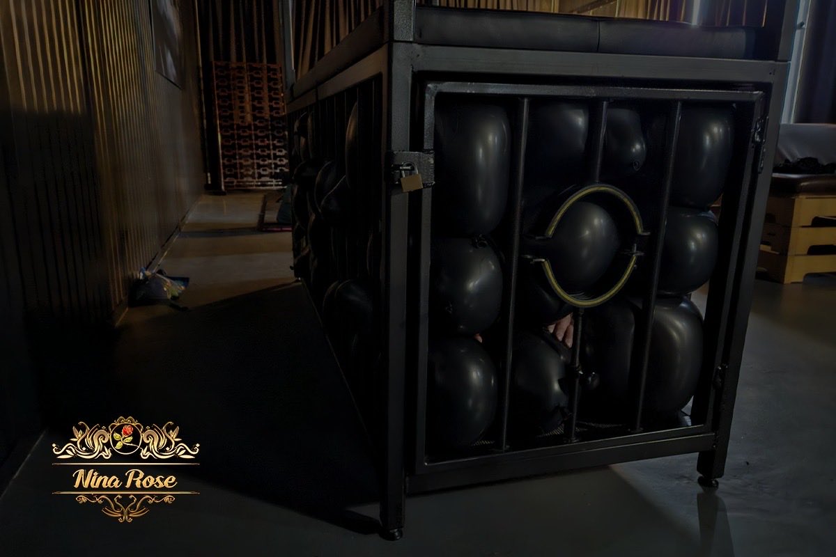 XNinaXRose's tweet photo. Vandaag kreeg ik de leuke vraag voor een creatieve unieke manier van bondage.

Ongeveer 100 opgeblazen ballonnen verdwenen samen met mijn slaaf in de kooi.

Elke beweging had gevolgen. Elke ademhaling voelde luider. De ruimte werd kleiner, de controle groter.

#bondage #femdom https://t.co/ICrGQilfyI