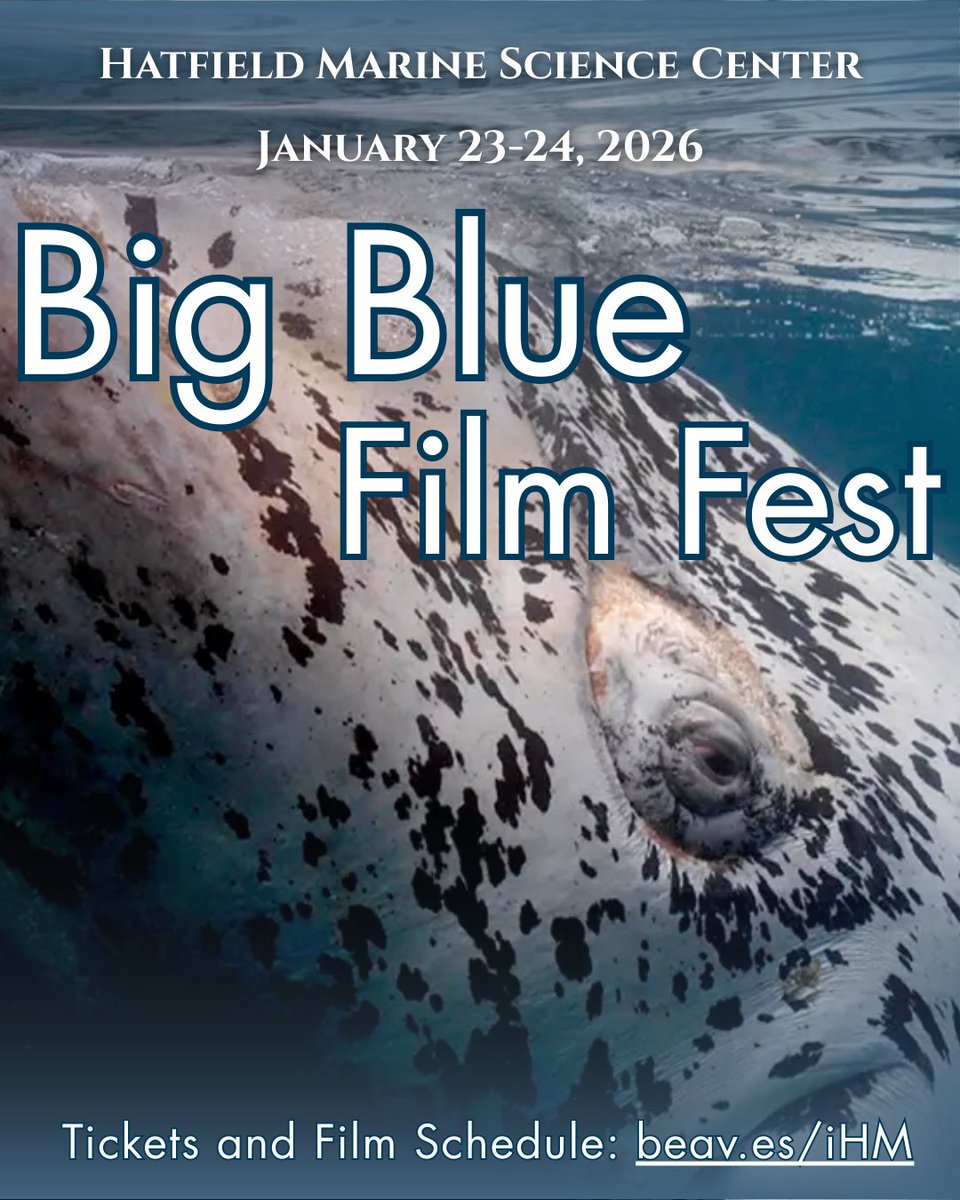 Marine and Coastal Opportunities - OSU tweet media