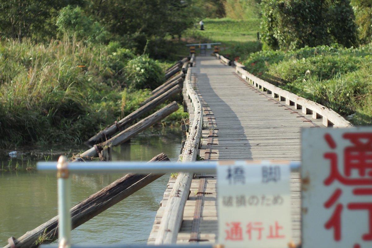 MrSIBKO's tweet photo. こういうのもイイね♪ 全部地元なんで案内可w  (架け替え前の若宮橋画像を添えて…) https://t.co/87niawhtOc https://t.co/GnWCpsjYCq