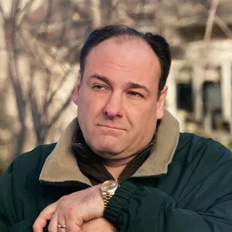 SopranosWorld's tweet photo. Me in 2016                               Me in 2026 https://t.co/wW3Ska0Inw