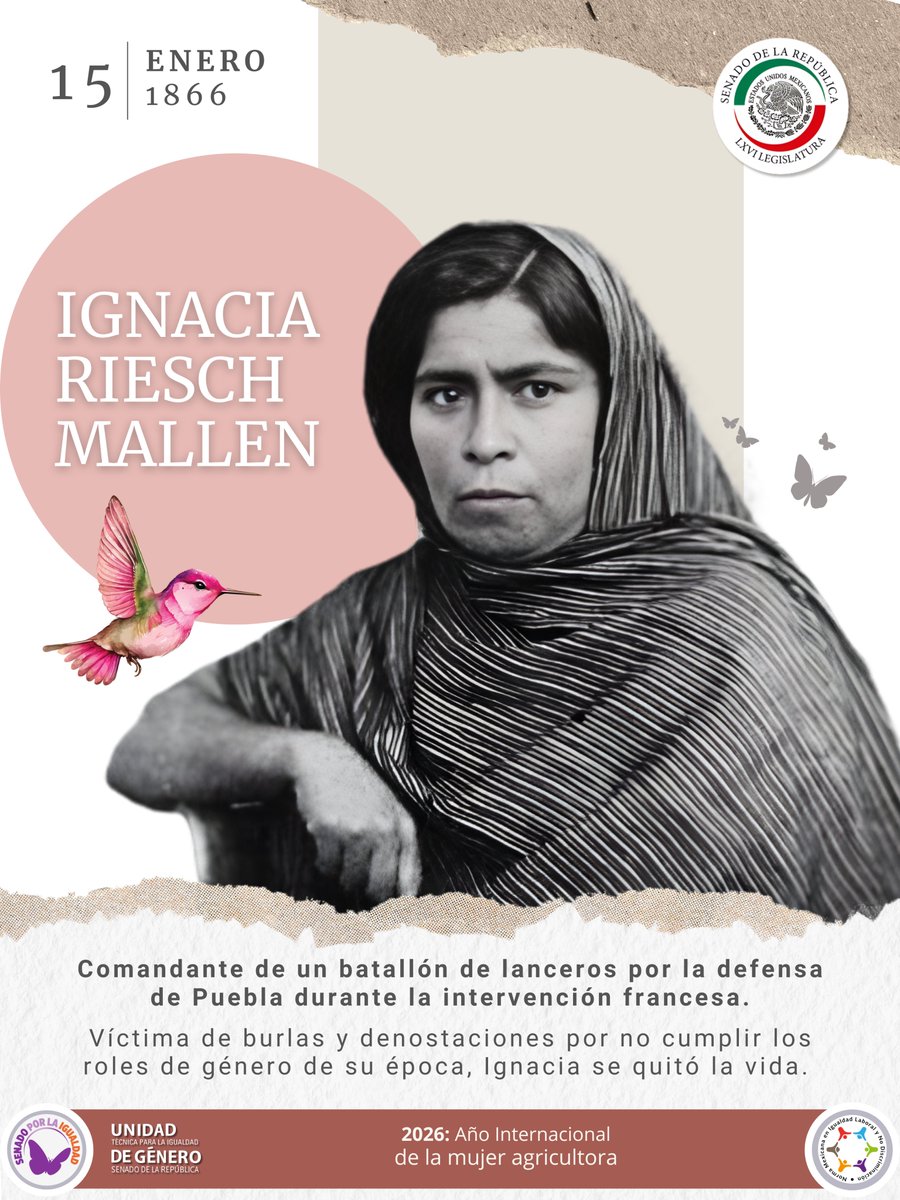 Ignacia Riesch Mallen luchó con valentía en el campo de batalla para defender a México, pero su coraje y determinación fueron silenciados por las burlas que la castigaron.

Honramos su legado y exigimos un país donde nadie pierda la vida por no ajustarse a los mandatos de #género