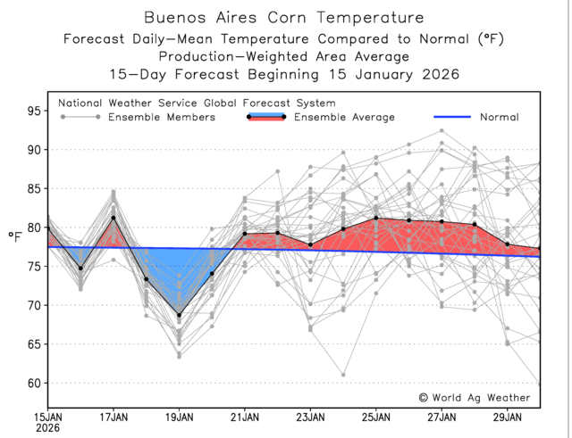 El Oráculo de Trenque Lauquen tweet media