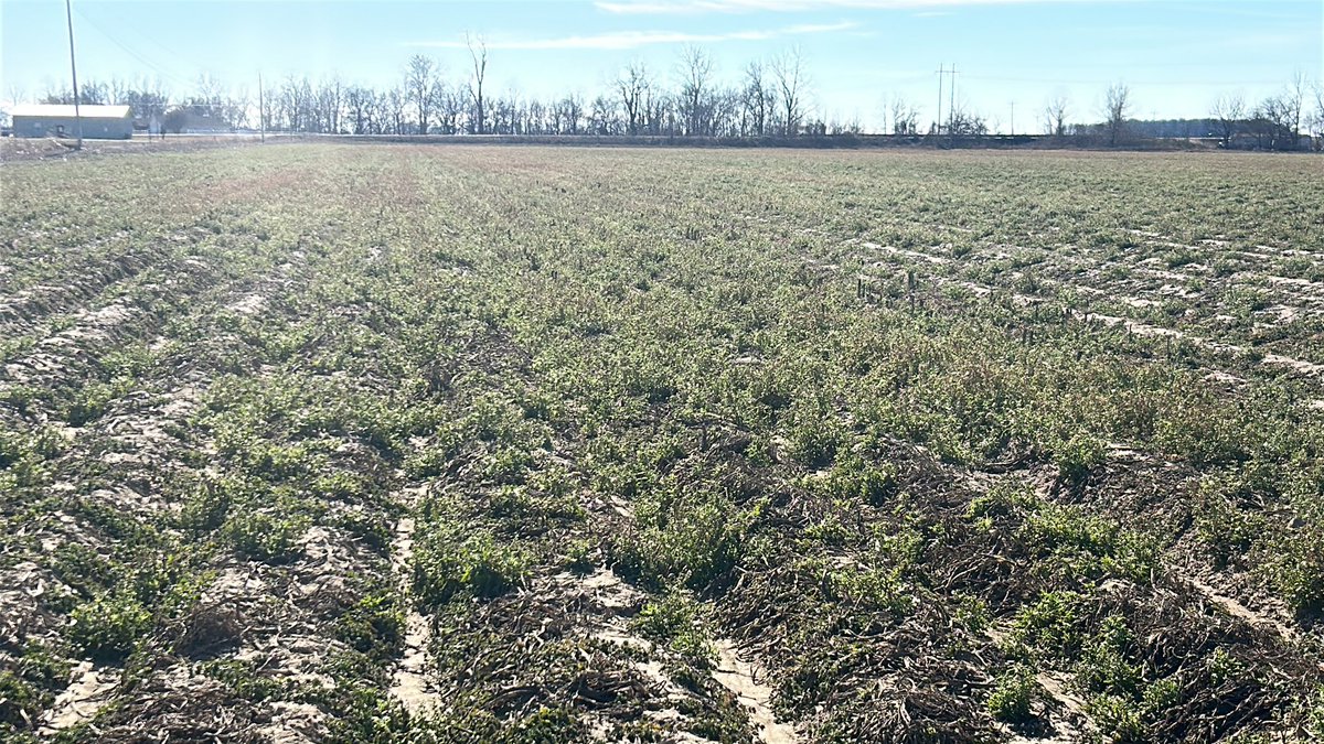 The Notorious H.Y.D.R.O. tweet media