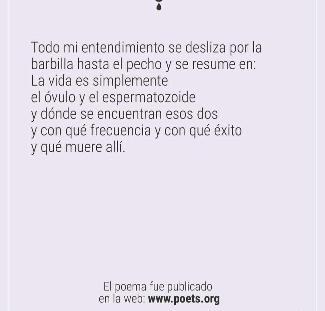 Le comparto un poema de 
Renee Good
Honor y Gloria  ! 
#IceOutNow 
#fueratrump 
#LosQueremosDeVuelta