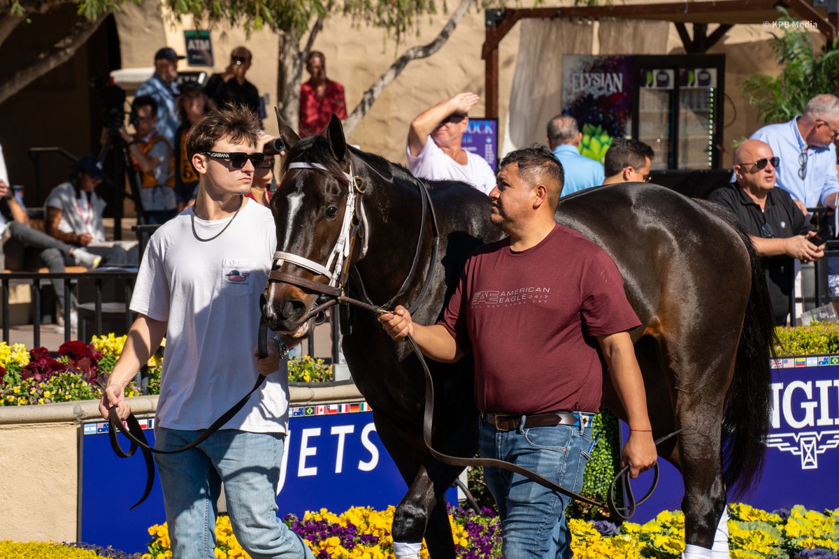 Champs of the Track tweet media