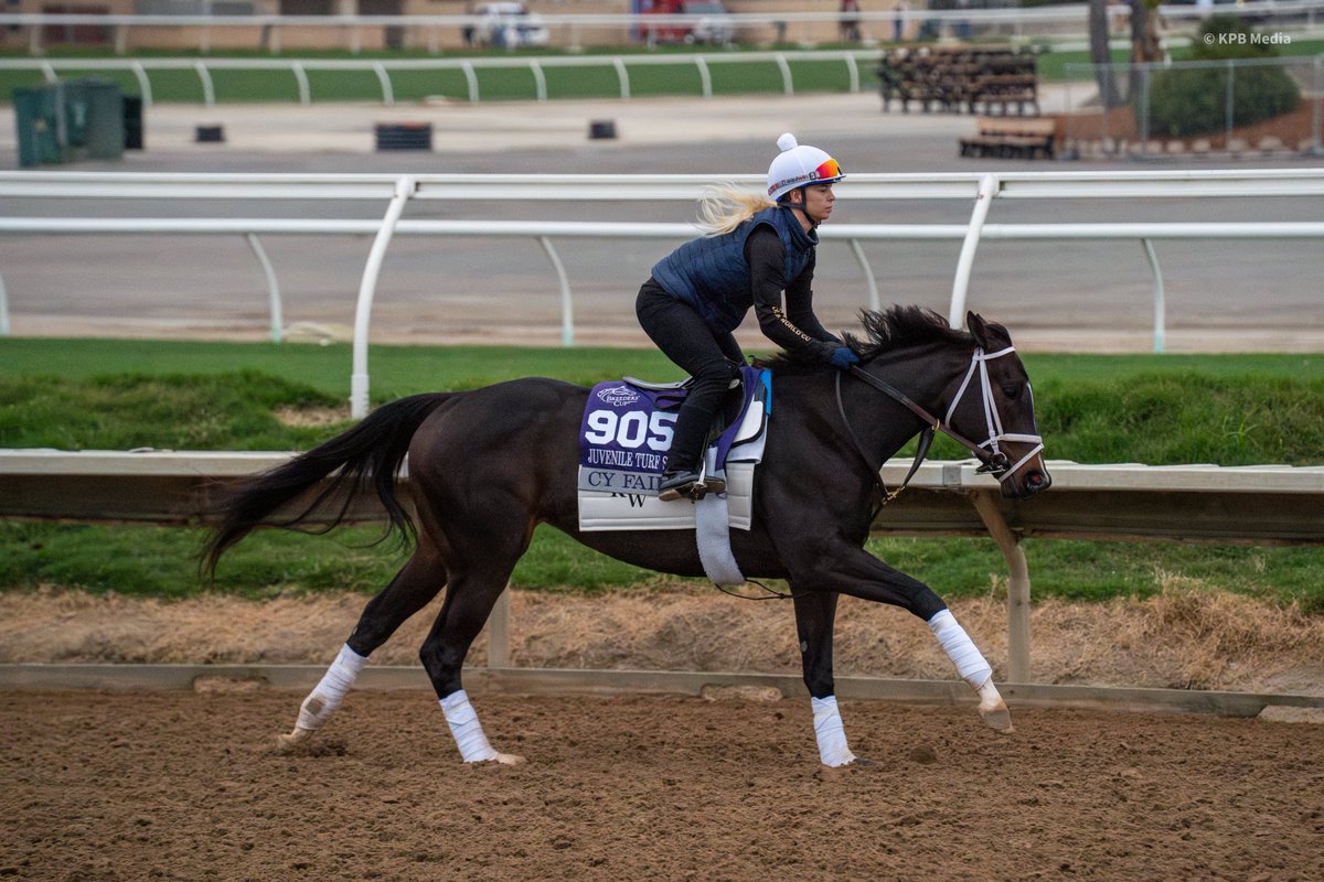 Champs of the Track tweet media