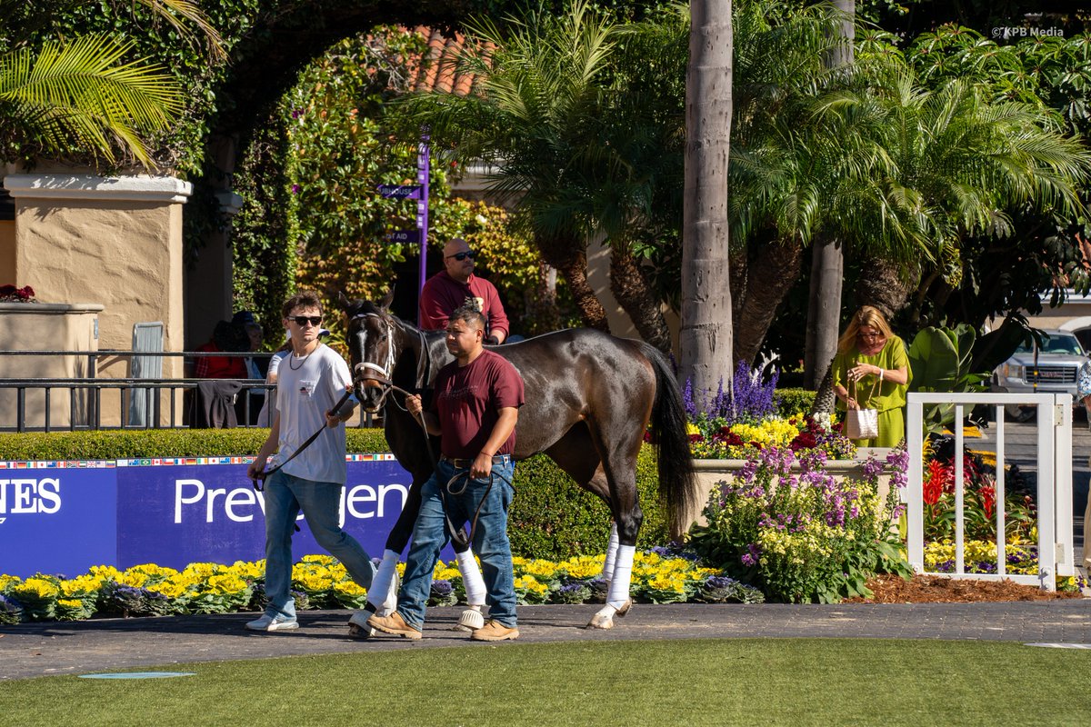 Champs of the Track tweet media