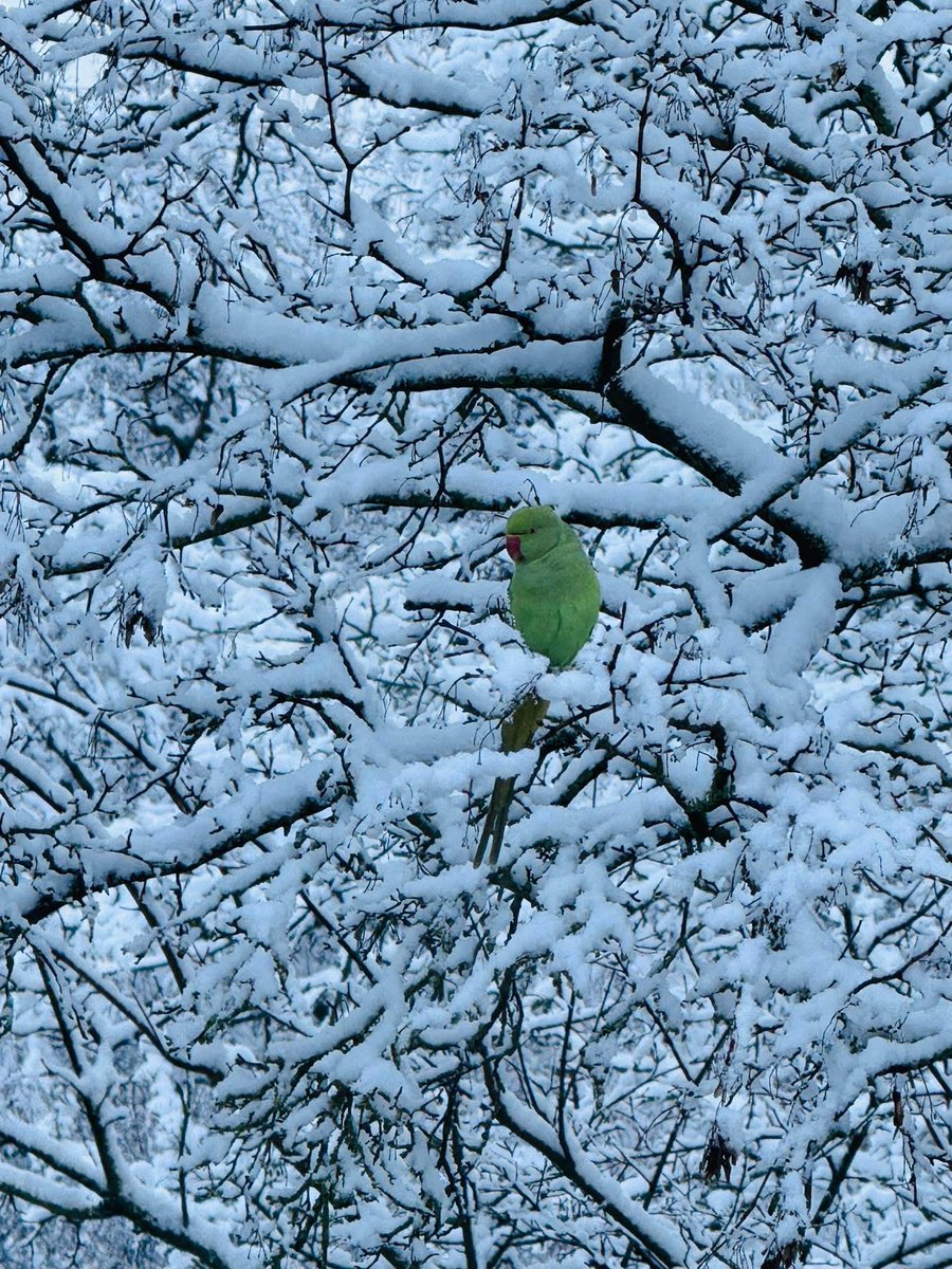 ana4dream's tweet image. Marvelous