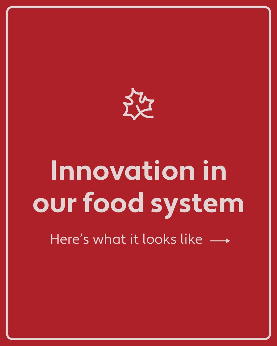 cdnfoodsystem's tweet photo. Innovation in food is necessary, and the future of our food depends on a community of people to move it in the right direction. ​
​
Find what steps these partners are taking at https://t.co/f0FMhmFyDv ​
​
#OurFoodOurFuture https://t.co/mjhuVEatZY