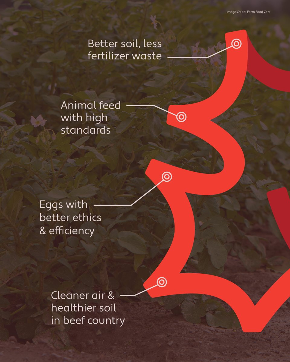 cdnfoodsystem's tweet photo. Innovation in food is necessary, and the future of our food depends on a community of people to move it in the right direction. ​
​
Find what steps these partners are taking at https://t.co/f0FMhmFyDv ​
​
#OurFoodOurFuture https://t.co/mjhuVEatZY