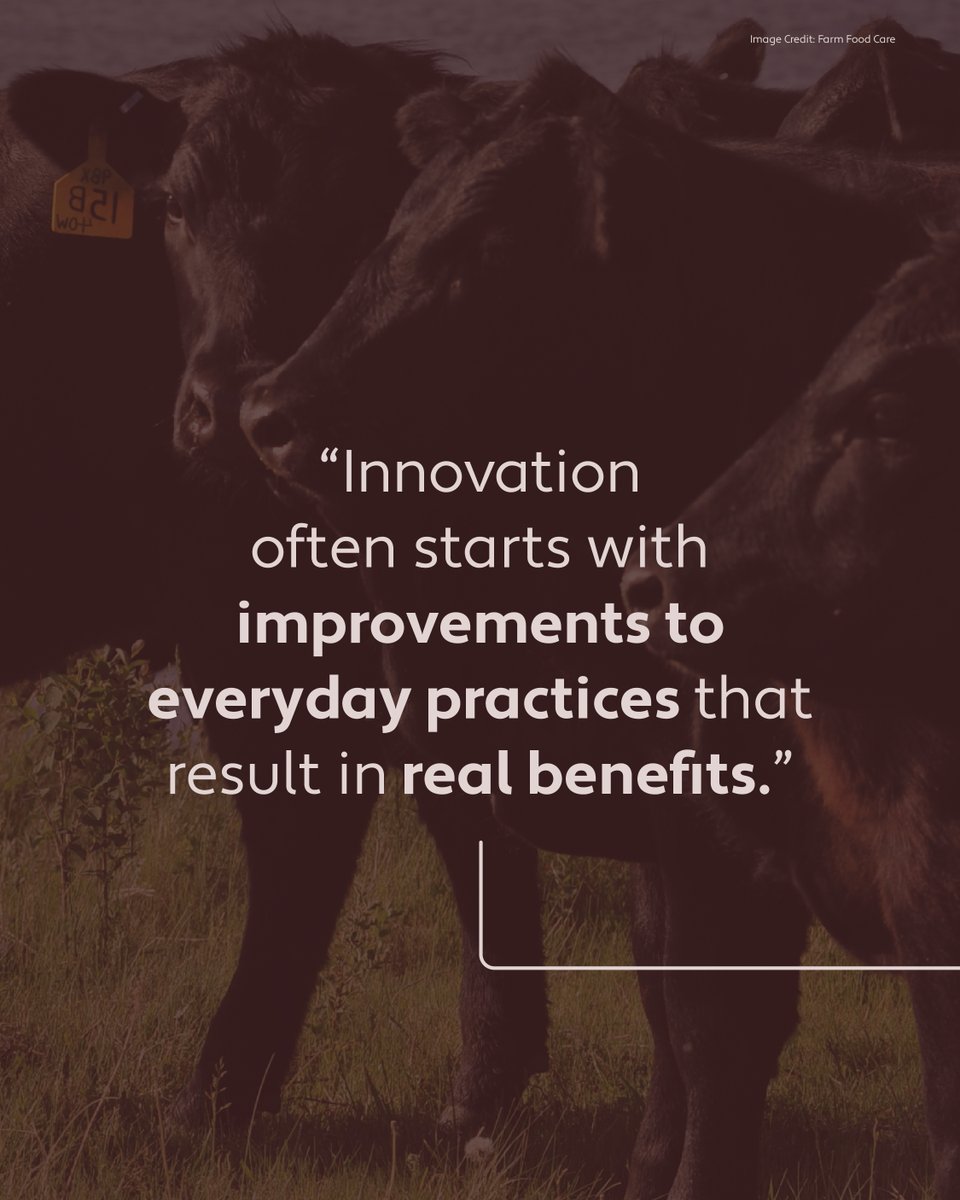 cdnfoodsystem's tweet photo. Innovation in food is necessary, and the future of our food depends on a community of people to move it in the right direction. ​
​
Find what steps these partners are taking at https://t.co/f0FMhmFyDv ​
​
#OurFoodOurFuture https://t.co/mjhuVEatZY