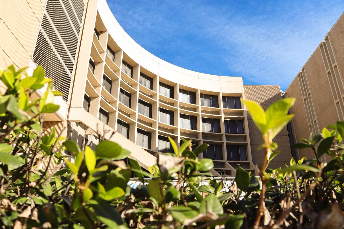 CSUSBNews's tweet image. Who's ready to come back to these sunkissed views? 😎☀️

The campus sure is missing you... 🐺🐾

#SpringSemester2026 #CoyoteLife #CampusVibes #CoyotePride