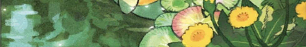 KDCOLLECTS's tweet image. tap this tweet to see psyduck contemplating life