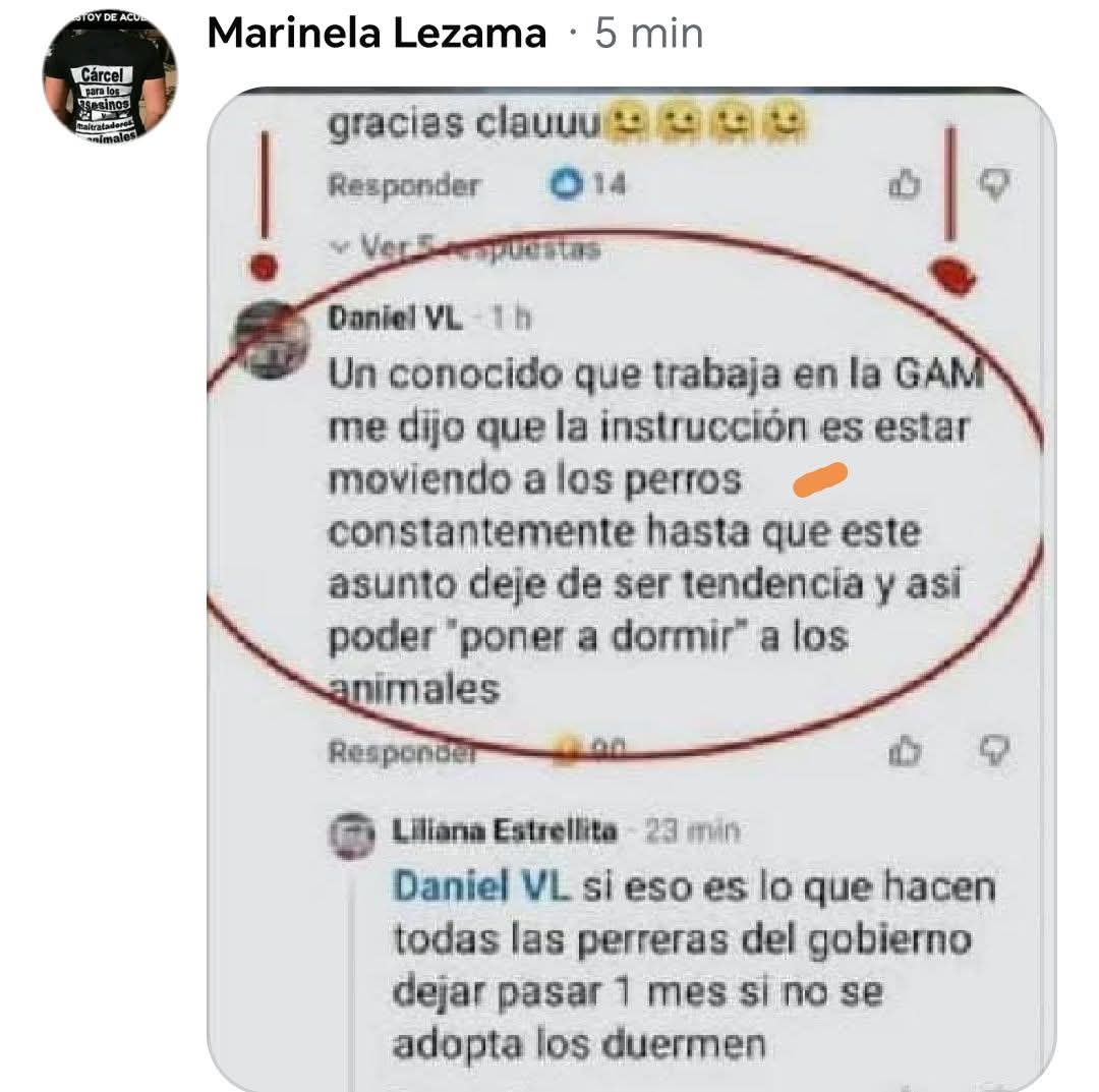 Ange_De_Verite's tweet photo. Esto ronda en internet, tiene mucho sentido normalmente es así, te cansan y ya cuando la gente ya no está interesada simplemente hacen lo que quieren. No olvidemos que: #TodosSomosFranciscanos #CruellaBrugadaDevuelveALaManada #CarmelaRiveroFueTodoPorDinero https://t.co/P0T4thfFYJ