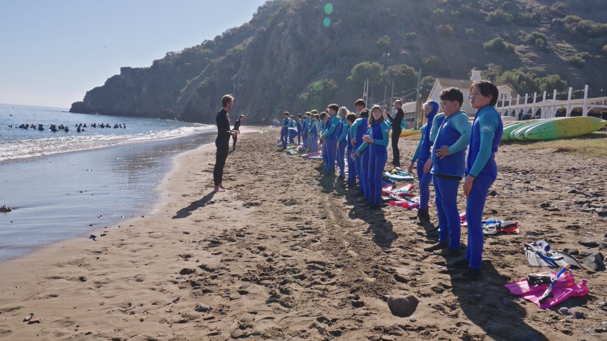 Catalina Island Marine Institute tweet media