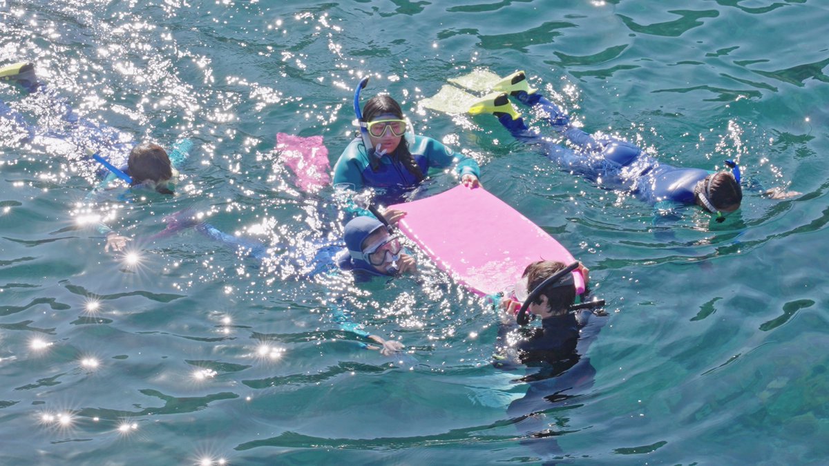 Catalina Island Marine Institute tweet media