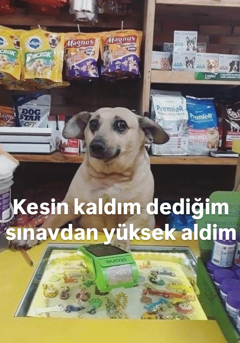 ANLIK (@anlikmod) on Twitter photo 