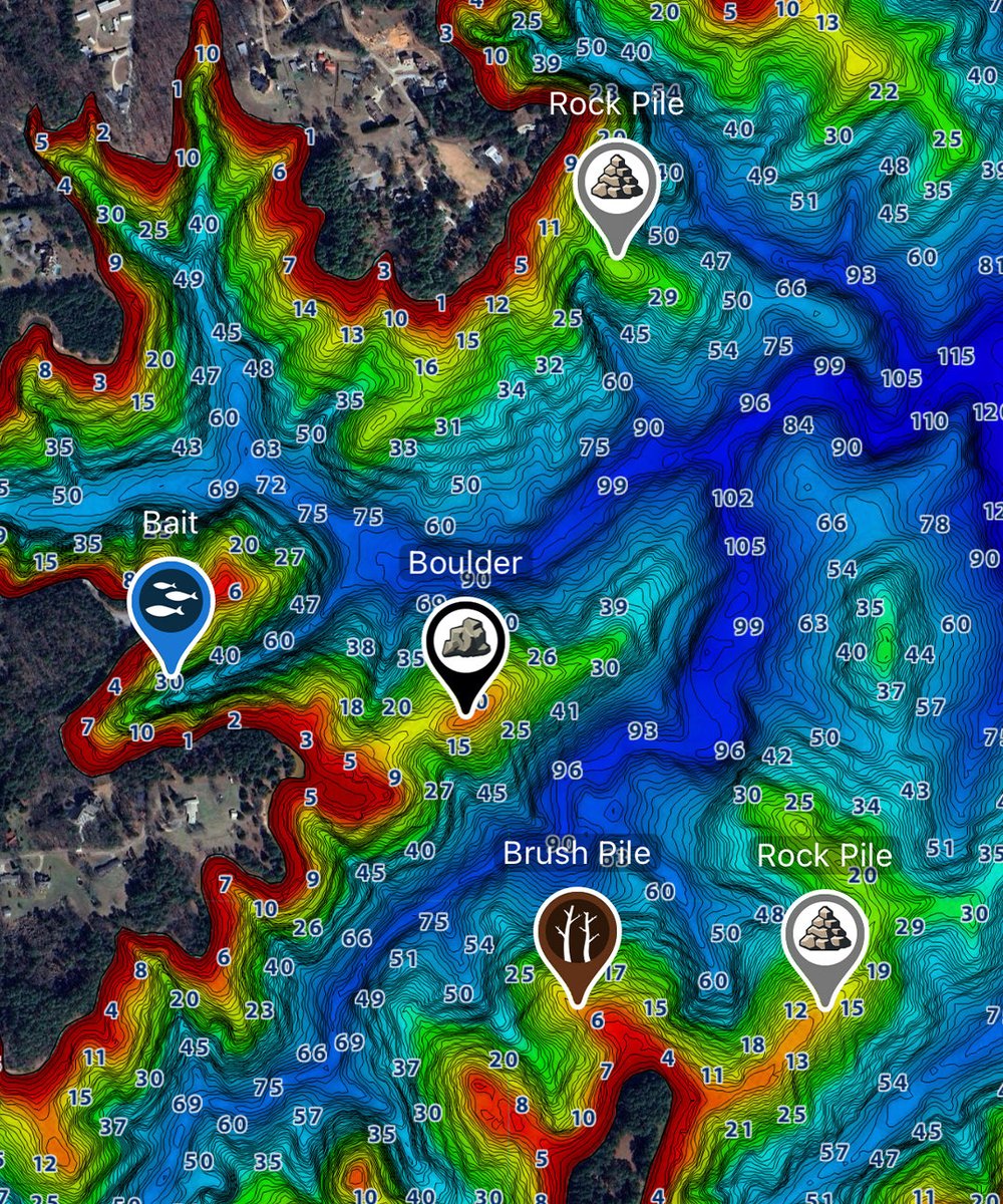 HumminbirdFish tweet media
