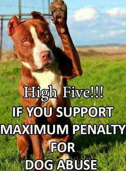 Beyond The Leash tweet media