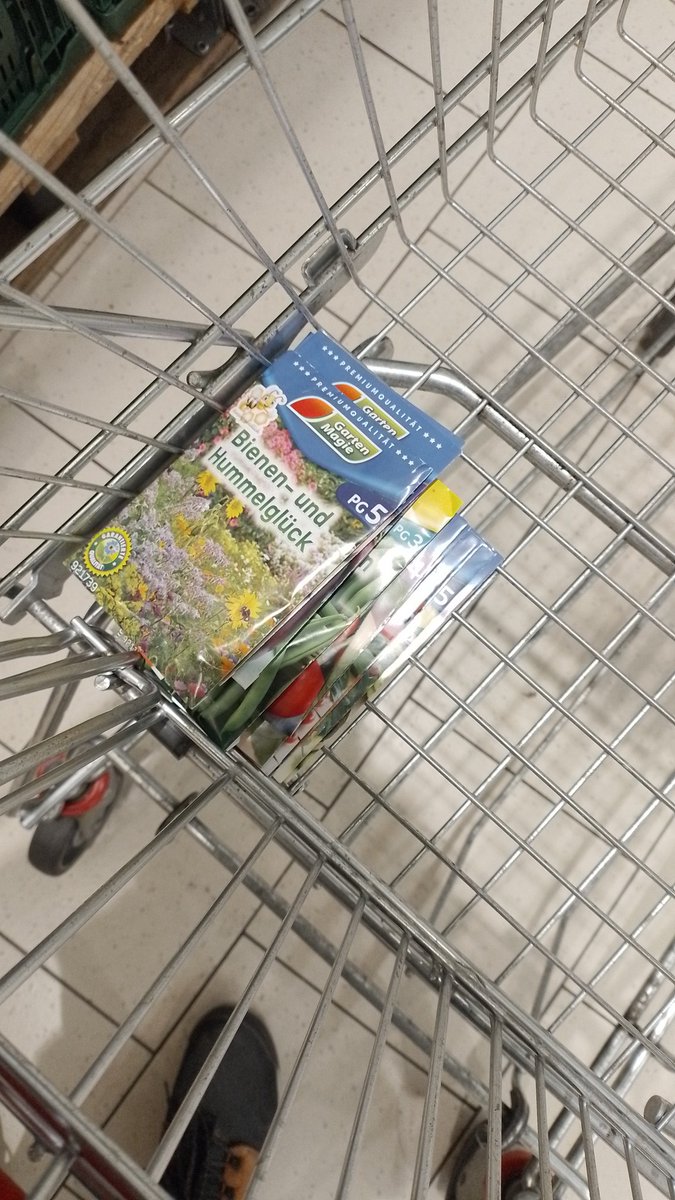 Die Quengelzone des kleinen Mannes