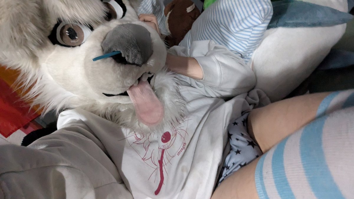 NarxPup_AD's tweet photo. Wooofwooooff https://t.co/y0z3WOH3tG