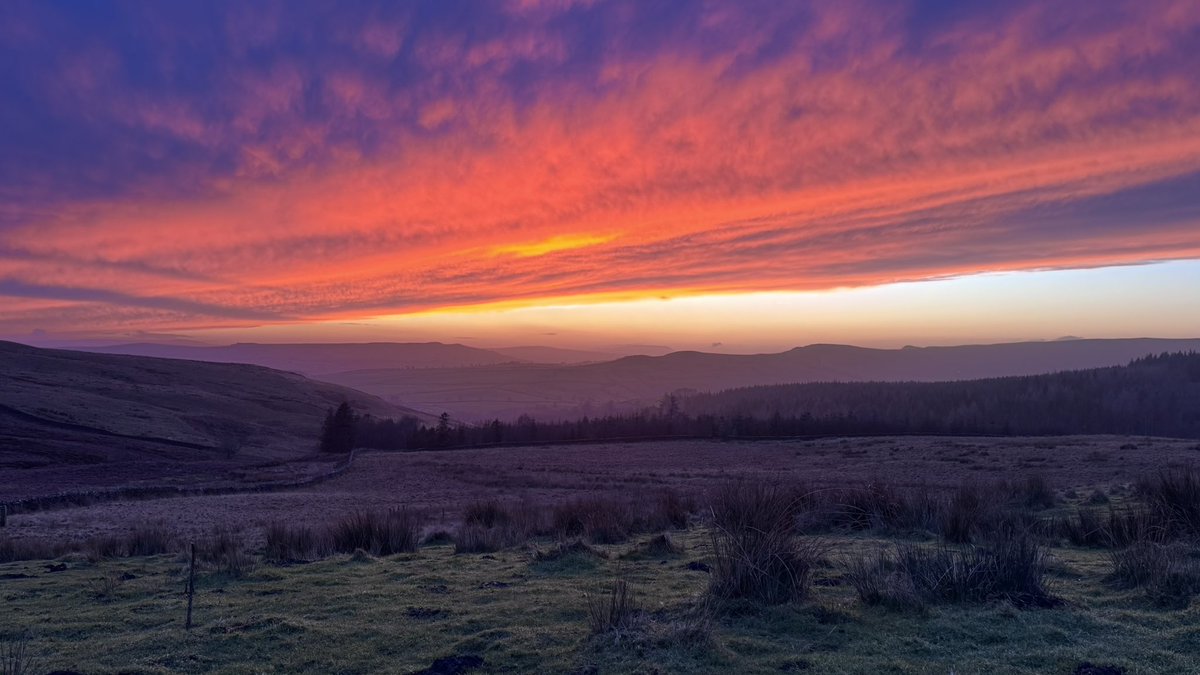 The #OffGrid Gardener tweet media