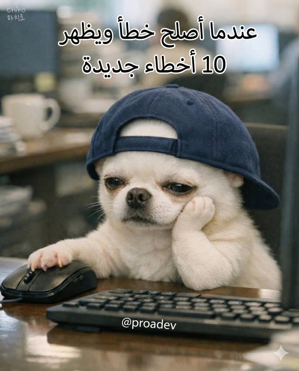 برمجة وتطوير tweet media