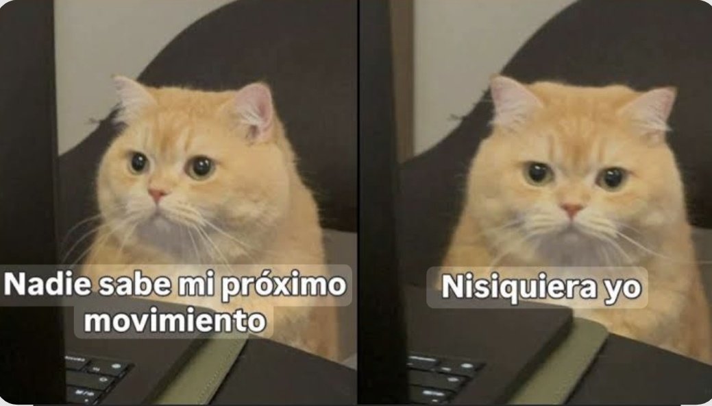 Mily Recalde tweet media