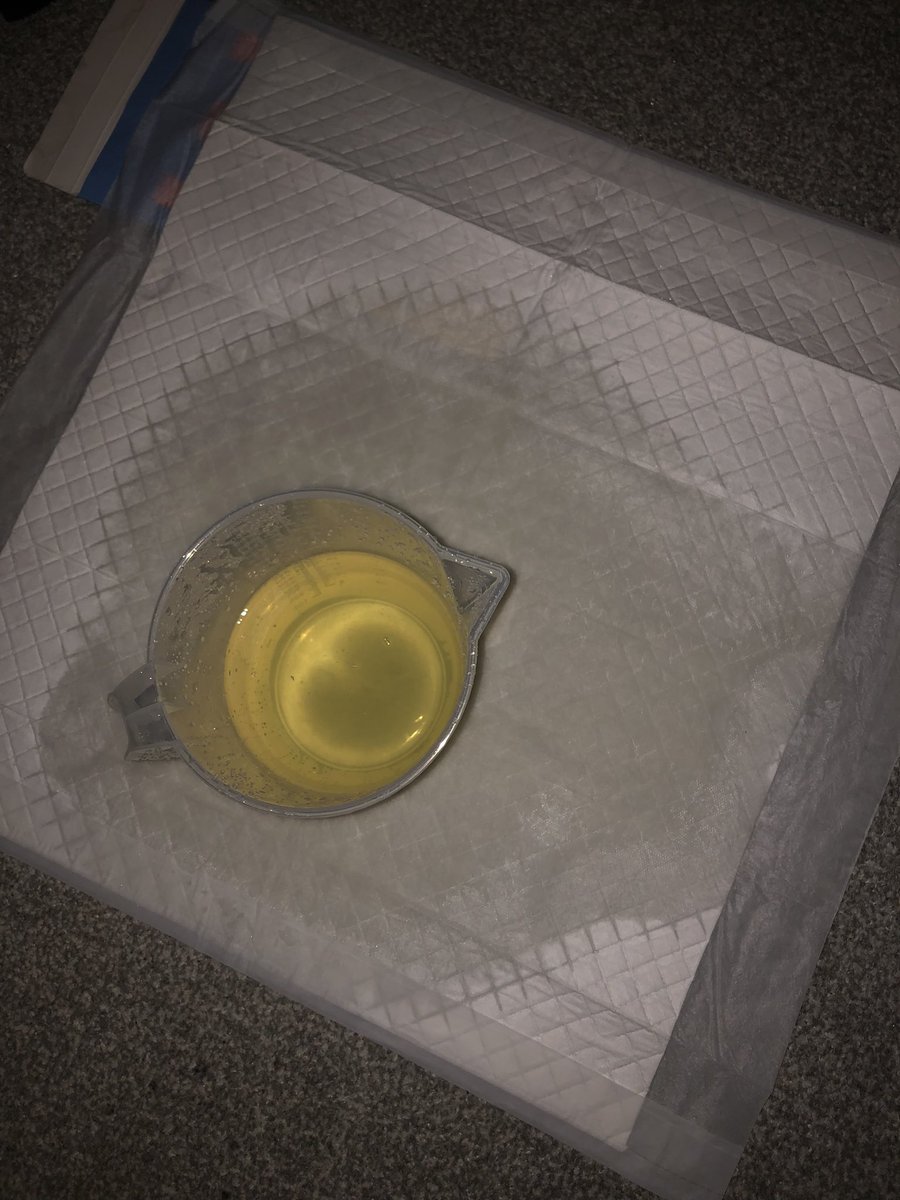 liquidpanic's tweet photo. 7/8th January ‘26

last pee: 11pm January 7th
urination time: 2am January 8th
liquid drank: 2000 millilitres
urine output: 900 millilitres plus what got spilled on the pad which i think was the majority of it tbh https://t.co/JfQ6L6dBDq