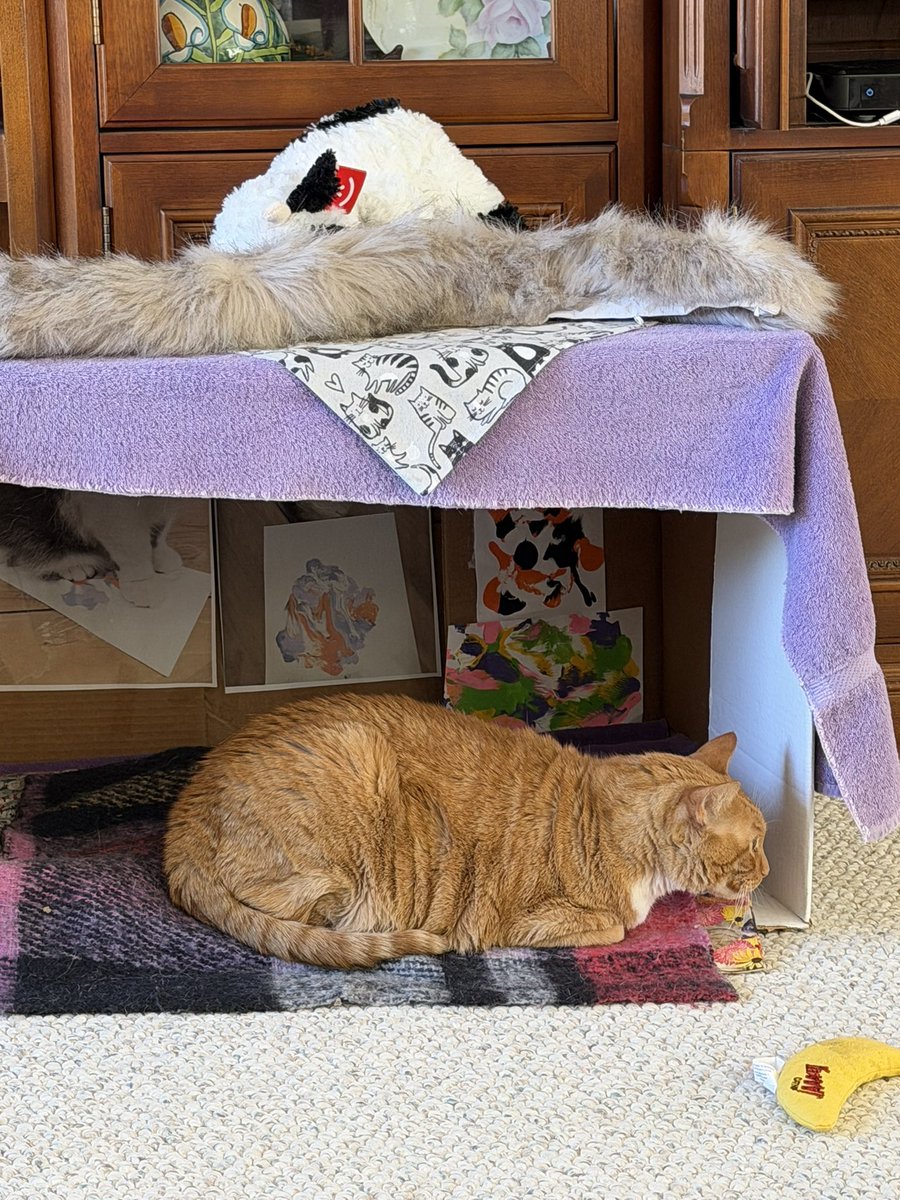 Ise laying on da blankie dat youse gibs to me, mine lubly fiancé, Shuck! <a href="/JustSkate23/">LT. Oyster Shuck😸 & LT. Pizzelle Puck🐶</a> 🌷🌷💞💞 Dose youse sees da pics frum Linxie <a href="/TasteyCat/">Linx💫🌈</a>. Dey make me fink ov himz daily! ❤️
Ise lubs youse fureber!! 🌷🌷💞💞