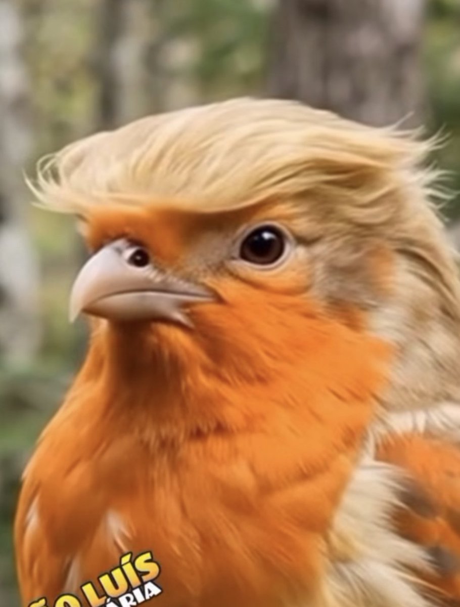 NEGRO BEY tweet media